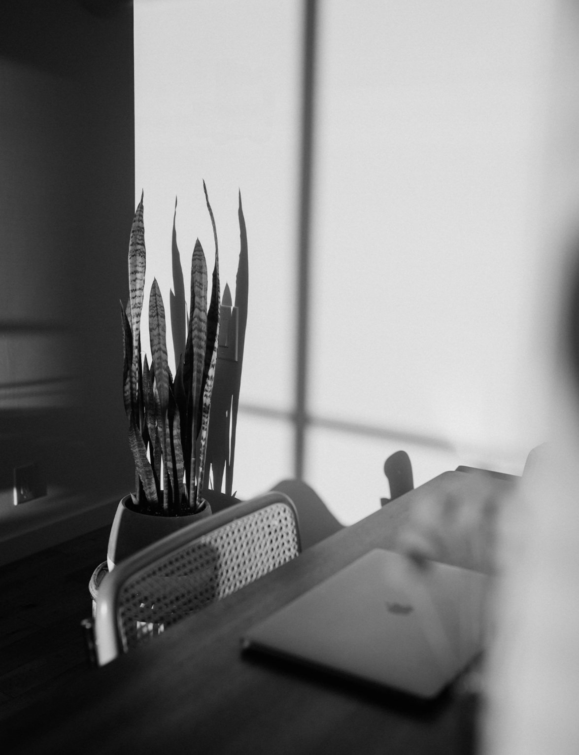 Luis-Miranda-bw